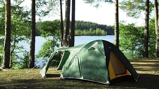 Одиночный поход в лес с ночёвкой| кемпинг |  #camping |RDS28