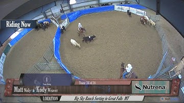 Big Sky Ranch Sorting Saddle Series #4 - YOUTH RANCH HAND - Round #1 - Ride #36