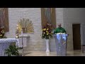 Mass for the Sixteenth Sunday in Ordinary Time; July 23, 2023.