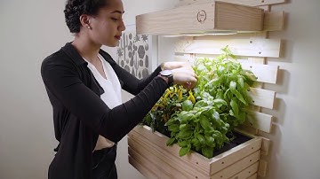 Gartenzwerg Smart Garden