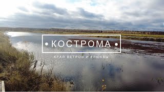 Кострома, клюква.