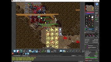 Tibia - Hunt DT Seal 8kk+H (x5) Massacre (Double XP)