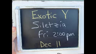 Details Exotic Y:  Siletzia Update