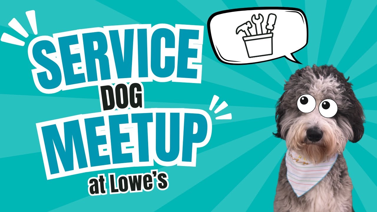 SERVICE DOG MEETUP Fellow Service Dog Handlers Going To Lowes YouTube service-dog-meetup-fellow-service-dog-handlers-going-to-lowes-youtube