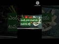 //#shortvideo ఎండి చాప వంకాయ టమాటా కర్రీ#// #food short video//#