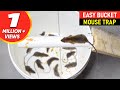 Mouse trap bucket  rat trap homemade  best mouse trap
