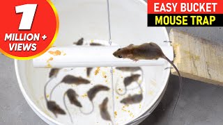 Mouse Trap Bucket || Rat Trap Homemade || Best Mouse Trap