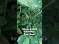 Jangan Menyerah Saat Hidup Terasa Gelap! 🌱🦋 Kamu lagi galau?  Ingatlah ulat. #metamorphosis