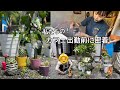 【vlog】お店オープン前ある日の朝🌿🌵本日もゆるゆるっと営業してます😌#おばあちゃんと孫 #カフェ経営 #静岡 #喫茶店