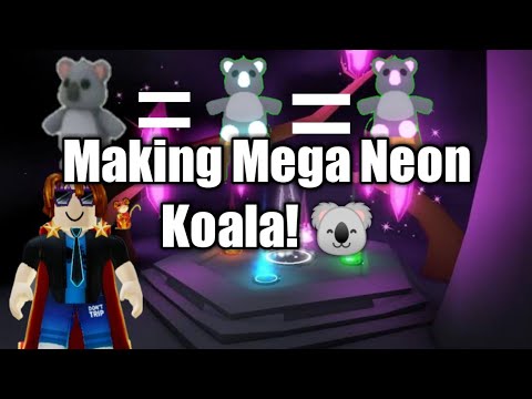 Making A Mega Neon Fly Koala And Mega Neon Dog Review Roblox Youtube - killer koala bear roblox