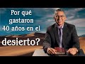 Por qué gastaron 40 años en el desierto?