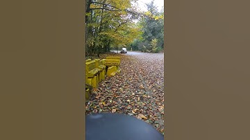 Whelen R316 Rota beam amber / red (amber facing)