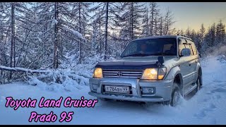 :    TOYOTA LAND CRUISER PRADO 95 / -