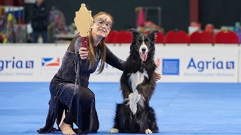 Barbara  Schettino e Zoran del Mulino Prudenza. Dog Dance World Championship