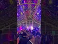 Wedding party band bea #weddingmusic #wedding
