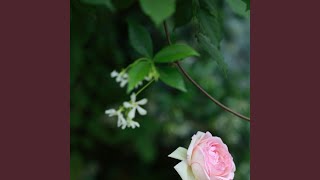 Download Lagu Skelthar Hujan Tak Pernah Usai MP3