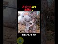 正義のヒーローうさぎの戦闘力🤫暴露します🔥