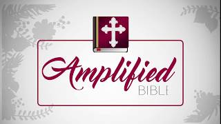 Amplified Bible free screenshot 5