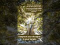 Deep root ur succesw well deep into ur minds