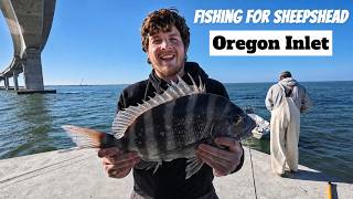 Awesome Day of Sheepshead fishing at Oregon Inlet! (5 man Limit)
