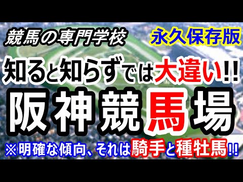 【競馬】阪神競馬場攻略ポイント 初心者の方は特に必見【競馬の専門学校】