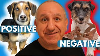 Rewarding & Correcting Your Dog using A Proven Training Method