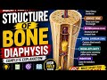 Bone structure || Diaphysis || Preparation of MDCAT