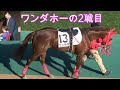 【Fischer's】ンダホ氏が所有するワンダホーの2戦目の競馬のレース映像!-パドックでの心配そうな様子やレースでの活躍など【競馬】