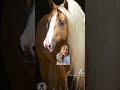 Colores de caballos: Palomino #caballos #equinos #cuartodemilla #veterinaria