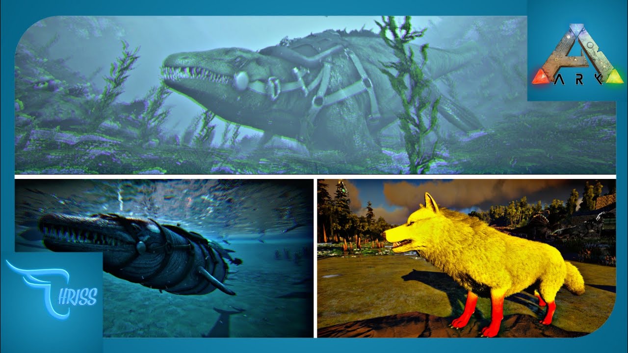 TAMING MOSASAURUS TAMING BASILOSAURUS DAN DIREWOLF EPS 34 Ark