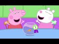 Peppa Pig&#39;s Pet Show Competition | Peppa Pig And Friends | @Peppa Pig - Official Channel