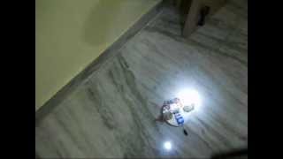 Light Following Robot.avi
