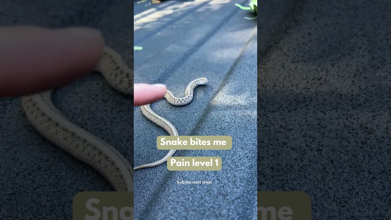 Brown Snake Bites me!! 