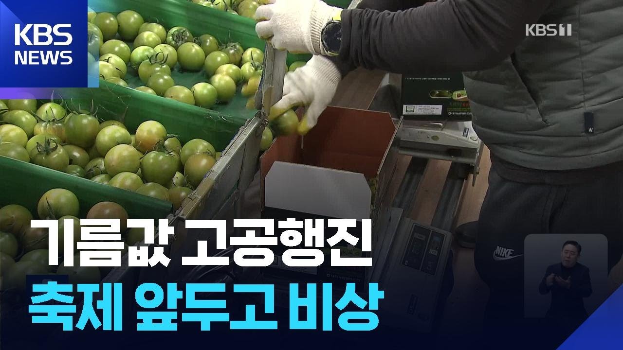 ‘토마토 축제’ 앞두고 비상…치솟는 기름값에 한숨 / KBS  2026.03.11.