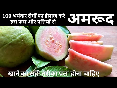 100                   Amrud Ke Patte Guava