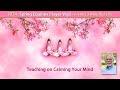 Teaching on calming your mind