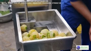 Máy vắt nước cốt chanh, vắt nước cốt bưởi, tắc - Điện Cơ Xanh - 0984467870 - 0342990084