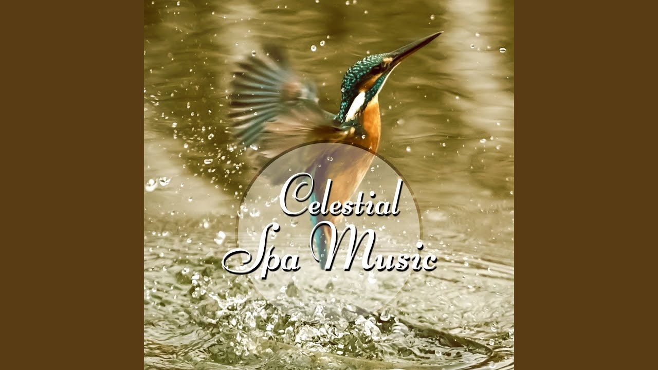 Watch Relaxing Journey on YouTube