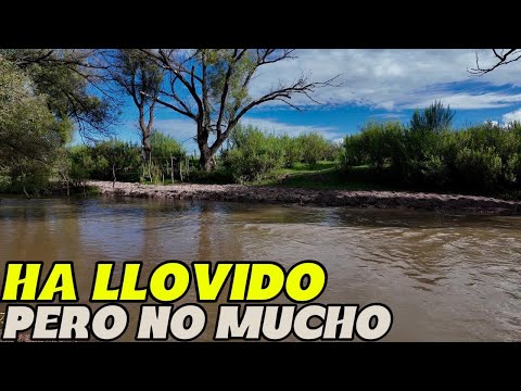 THE RIVER HAS HAD VERY LITTLE WATER FLOWING DOWN