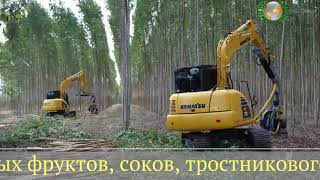 Видео BEST REAL GLOBAL - ДЕЛОВОЕ СОТРУДНИЧЕСТВО. (автор: Твой Успех В твоих руках)