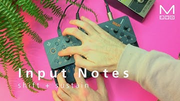 Modal SKULPT synthesiser Keyboard Section tour