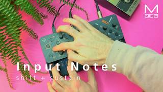 Modal SKULPT synthesiser Keyboard Section tour