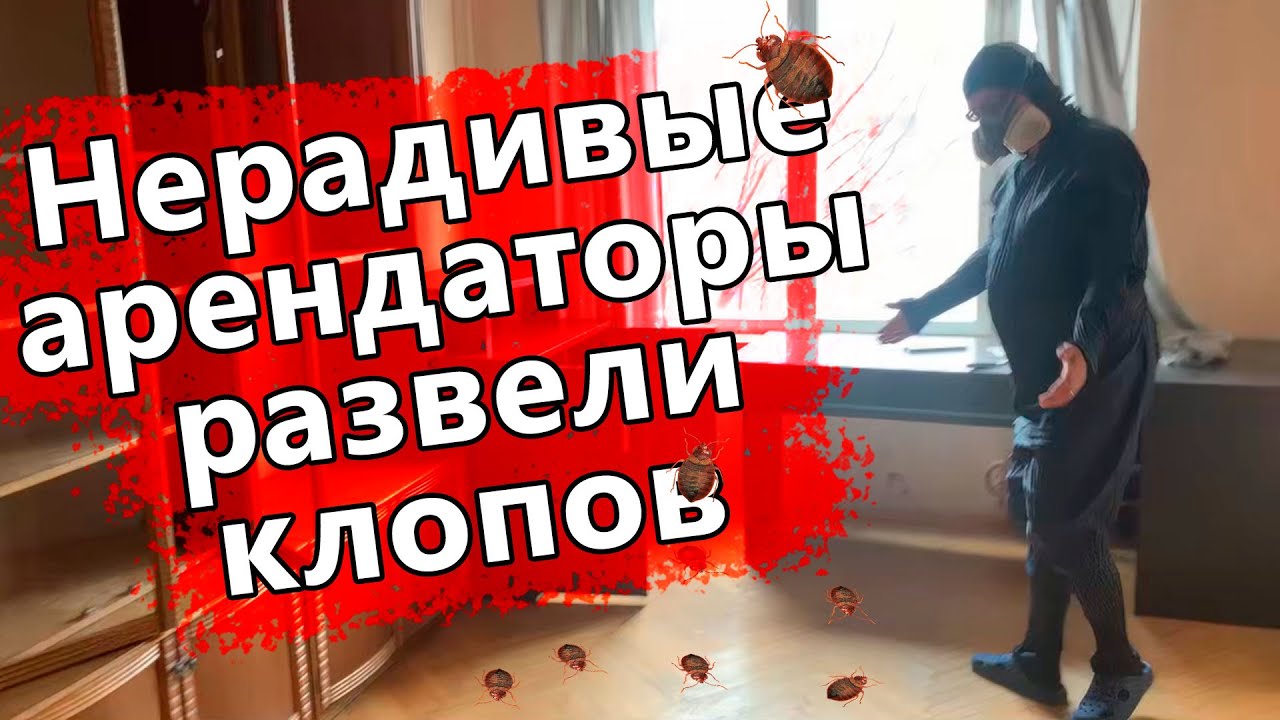 Когда сдаете квартиру, смотрите, кому ее сдаете, что бы потом не ...