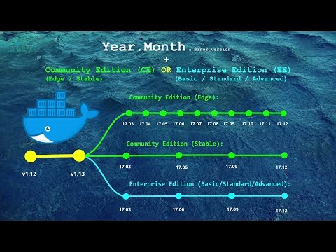 Docker's Versioning System and Editions Explained in under 4 minutes.