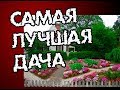 Дача. Всё идеально, как всегда.