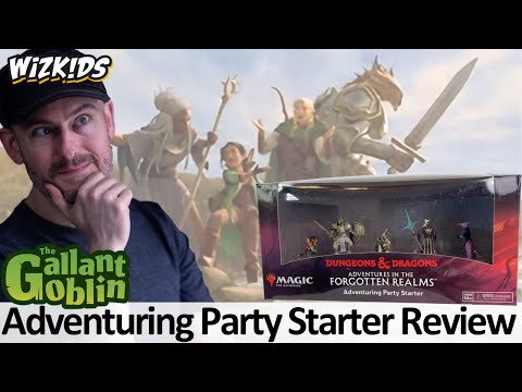 Adventuring Party Starter Review - WizKids D&D/Magic Forgotten Realms Prepainted Minis