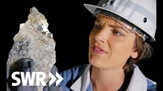 Spuren im Stein – Salz | Geschichte & Entdeckungen