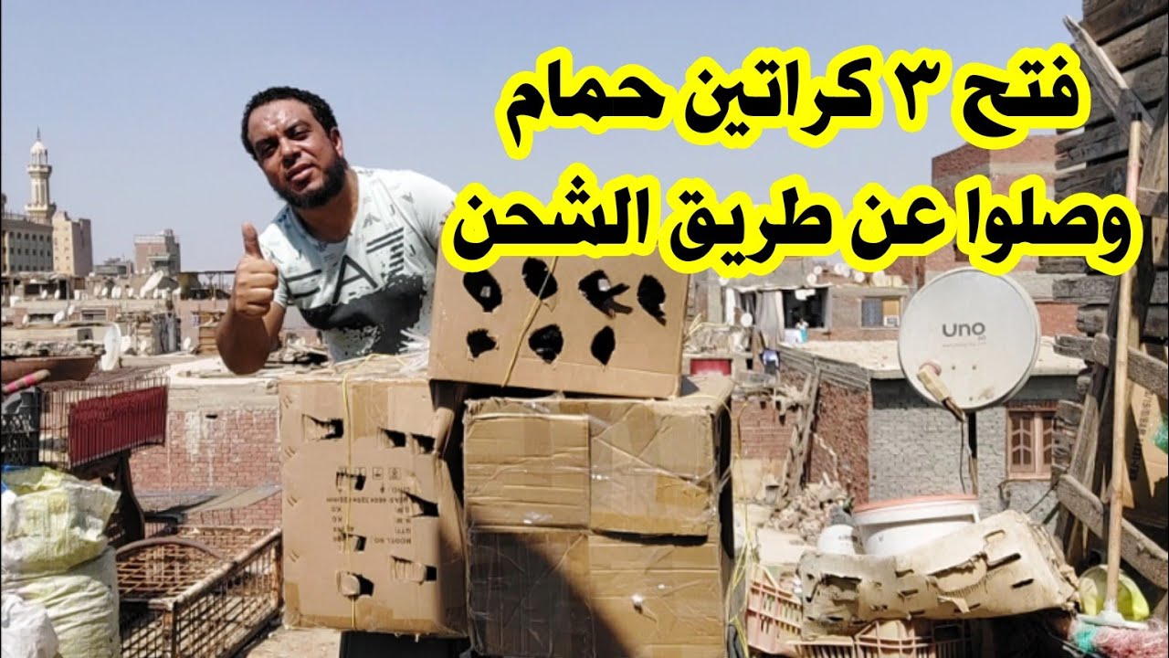فتح ٣ كراتين حمام وصلوا عن طريق الشحن أنواع كتير أحجام عملاقه