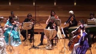 Vivaldi - Four Seasons (Spring) / Dört Mevsim (İlkbahar) (Olten Filarmoni - 13.01.2016)