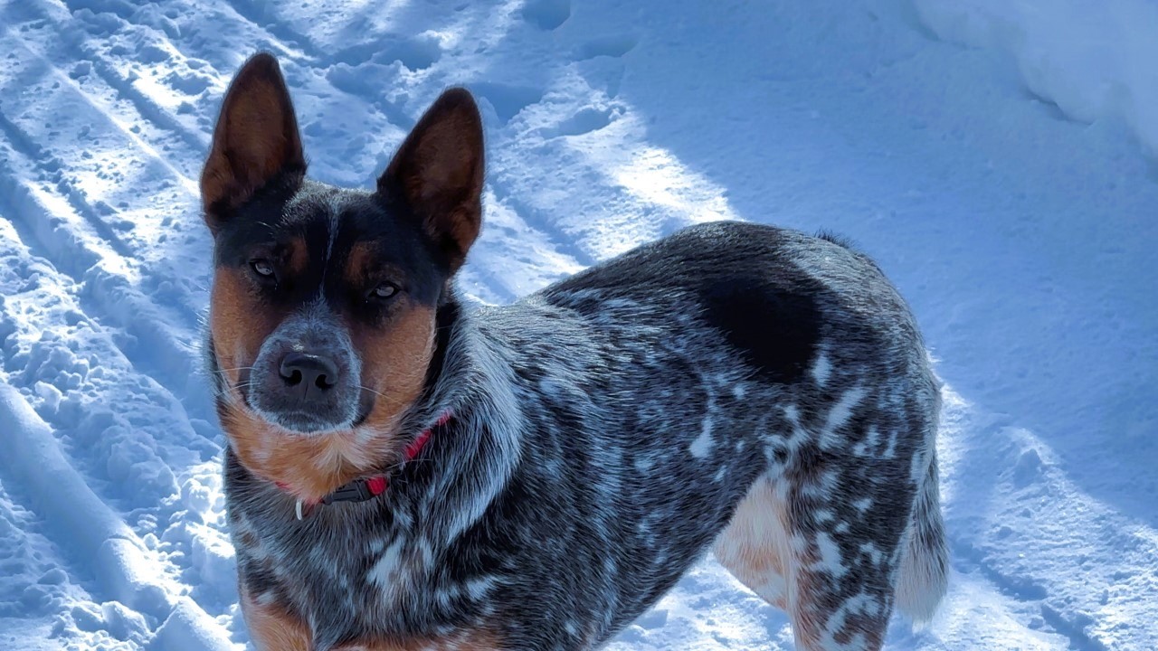 The Glory of Winter On The K&P Trail